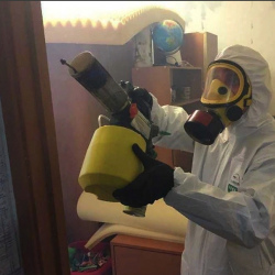 Уничтожение клопов в квартире. Фили 